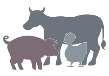 lot-boeuf-porc-poulet